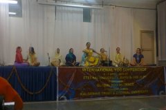 International Yog Conference, 2013
