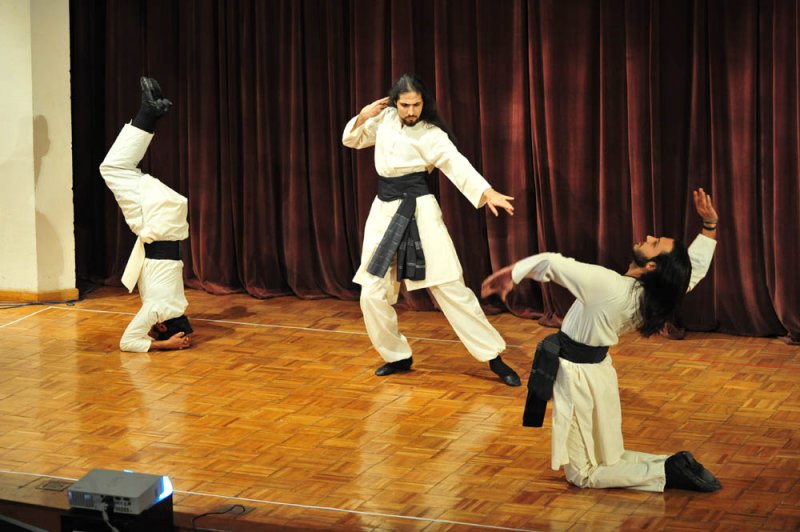 national-yoga-conference-iran-2010-12